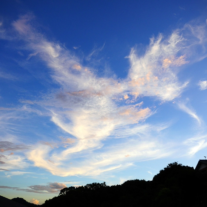 本日8月4日は、ご支援に最適な大吉日です。