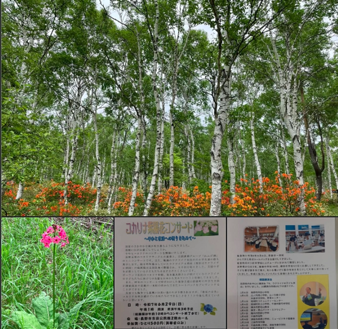 現時点では今年中に日本全国で7箇所での巡回絵画展を実施していただけます