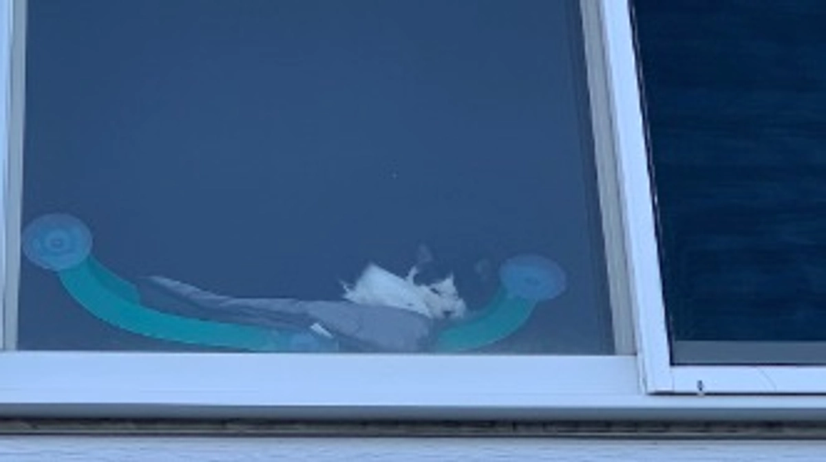 残り17日となりました。