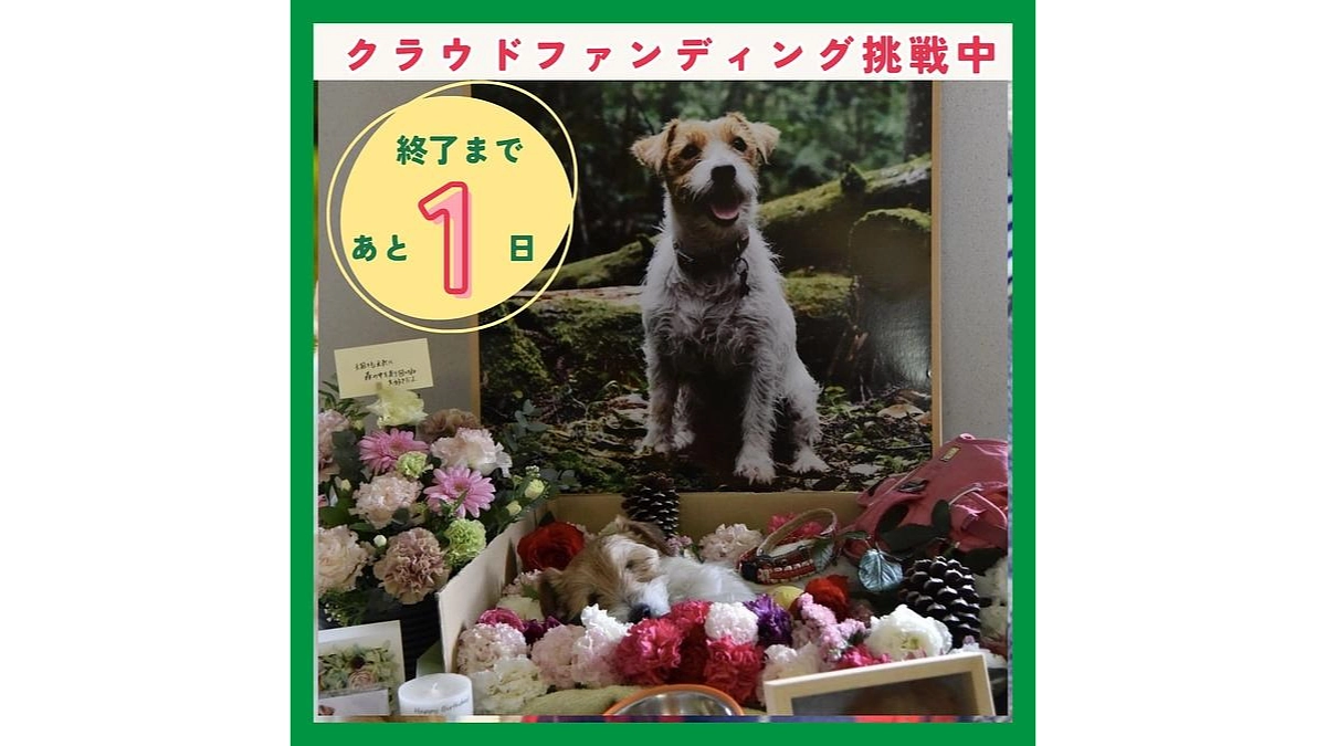 【ワンズ・ラフのストーリー⑬：旅立ちの日】