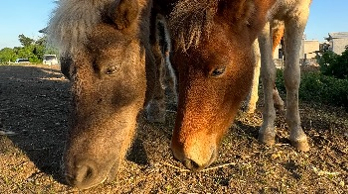 リターンの準備に入ります！