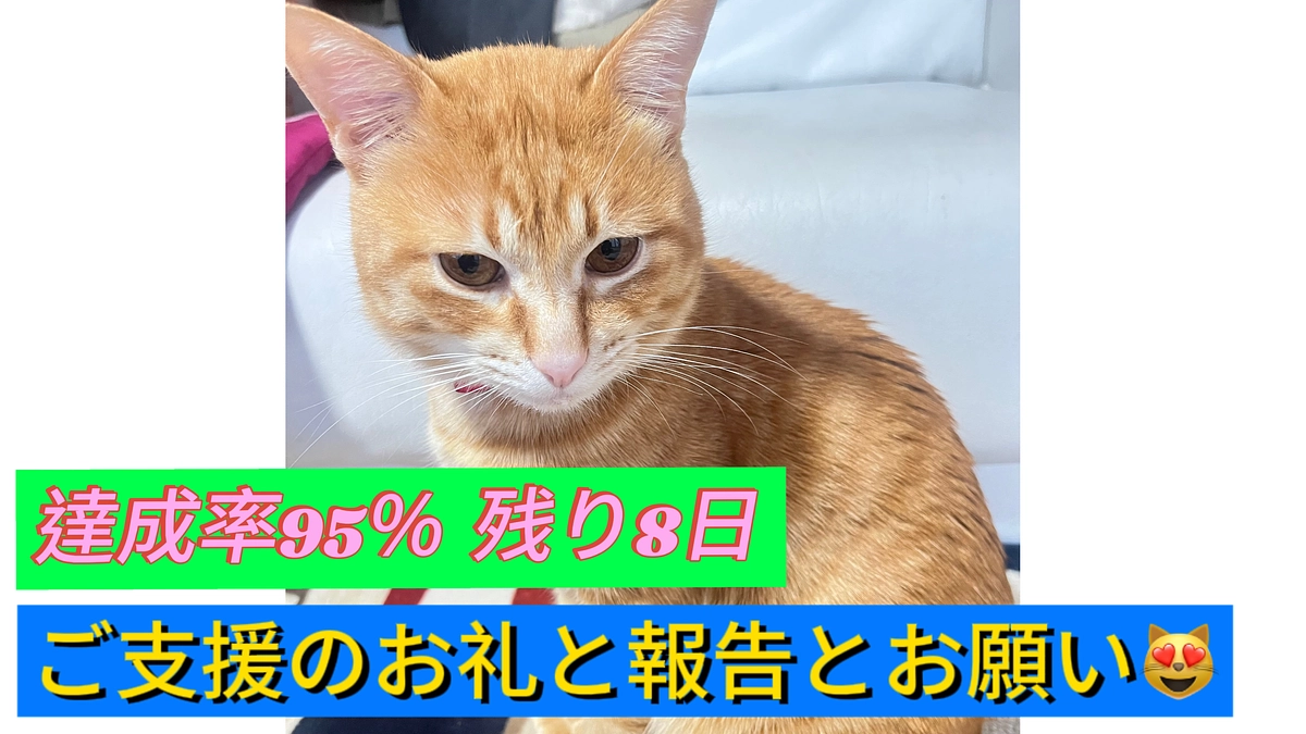 ご支援のお礼と報告とお願い（3/20その2）