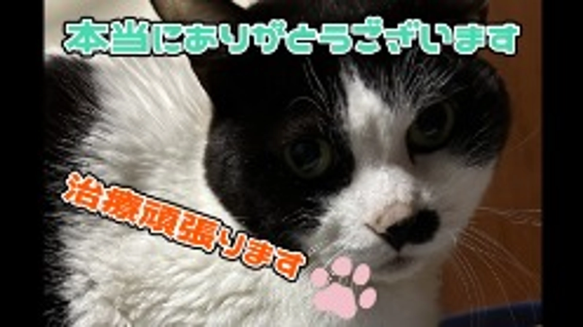 本当にありがとうございます！