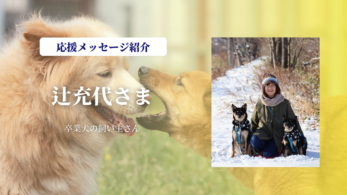 卒業犬の飼い主さんの辻充代さまより、あたたかい応援メッセージをいただきました