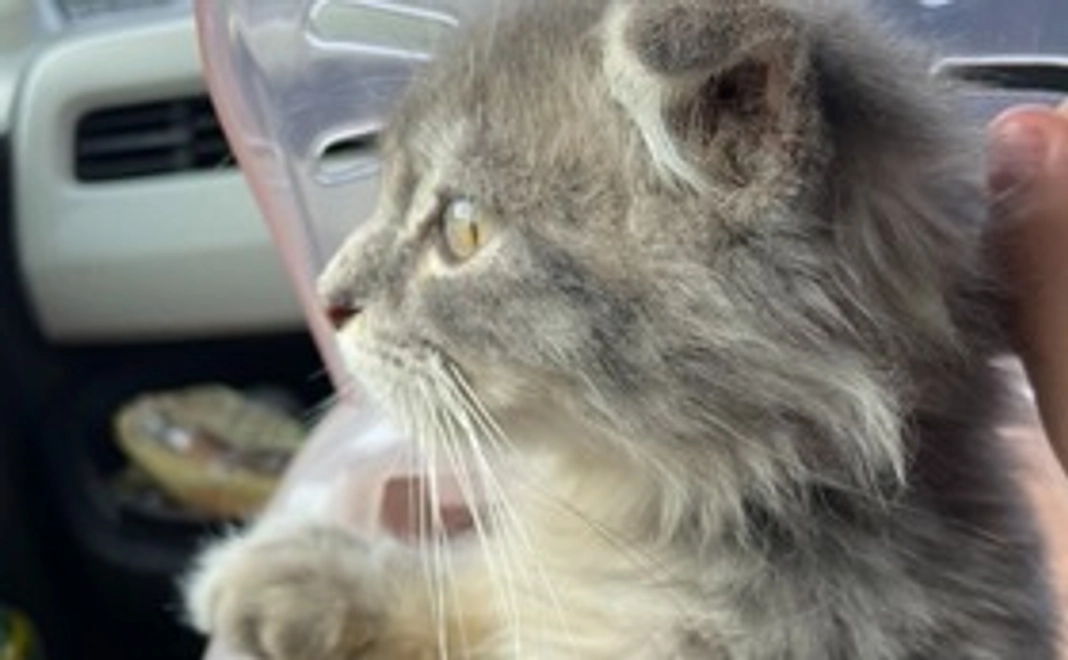 らいちゃん支援コース(￥3000)