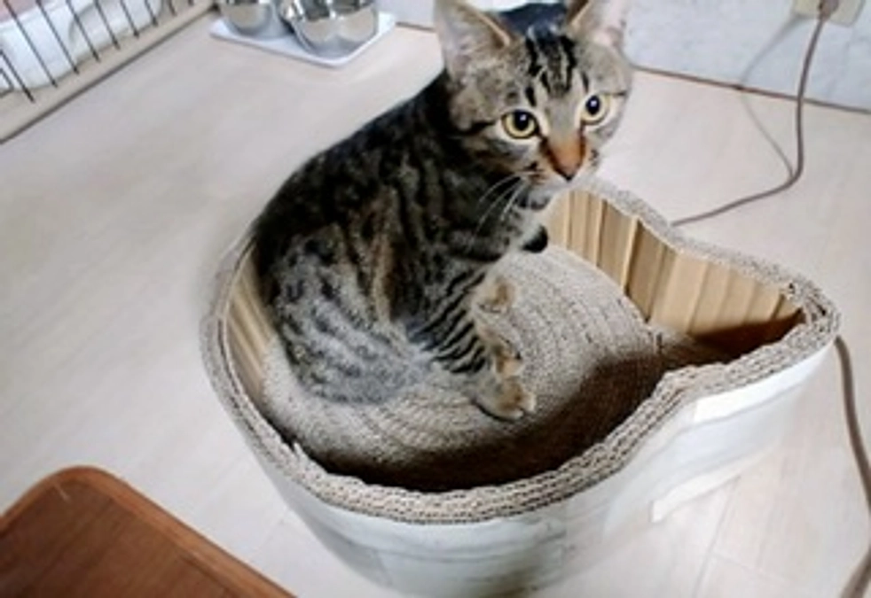 ボランティア リレー⑯