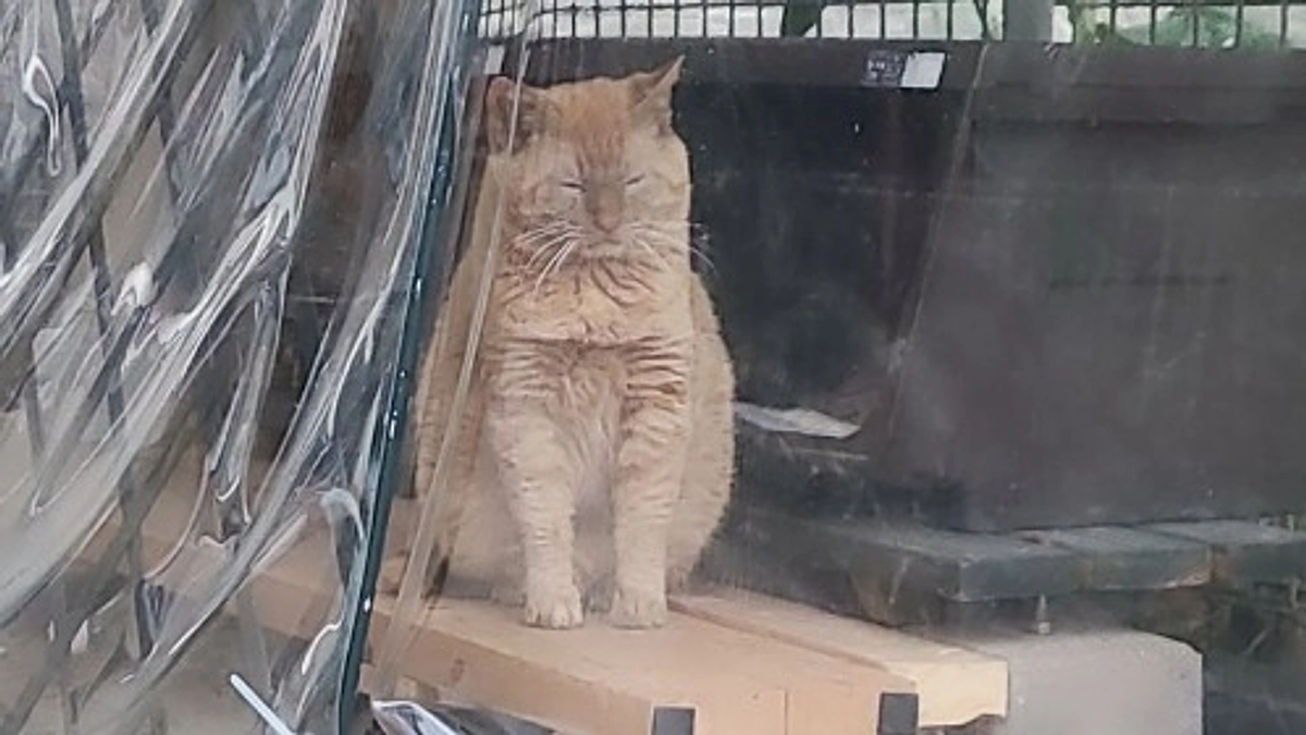 【残り11日！80%達成ありがとうございます🌷】「心情、感情、気持ち」 #関わる人で運命が決まる