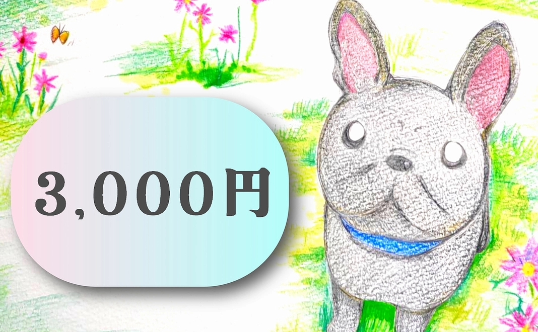 石松家支援3,000円コース