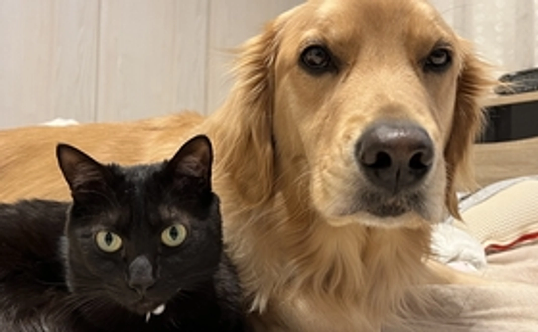 お礼状・完成動画の公開メール