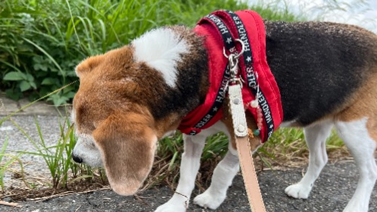 9/29 午後 ちびっこの様子のお知らせします