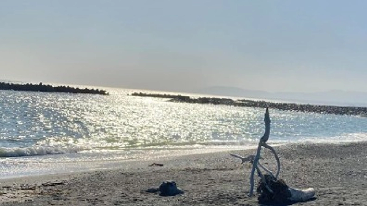 普段のできごと①