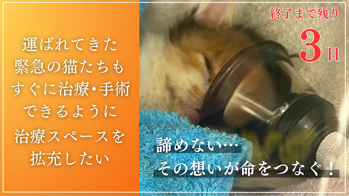 　みなさんからの応援に応えていきたいと思っています。