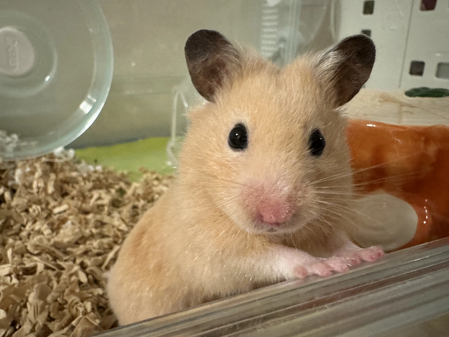 【まさの森活動報告⑯】こんな症状に出会ったら・・・お気軽にご相談ください！