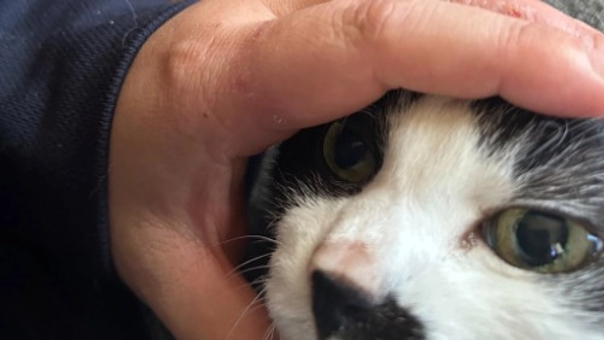 ちっぷが大激怒