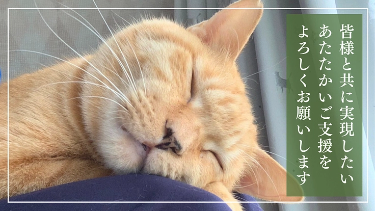 ととの森｜猫と人が出会い、温かいご縁を繋ぐ「はじまりの場」の開設へ 7枚目