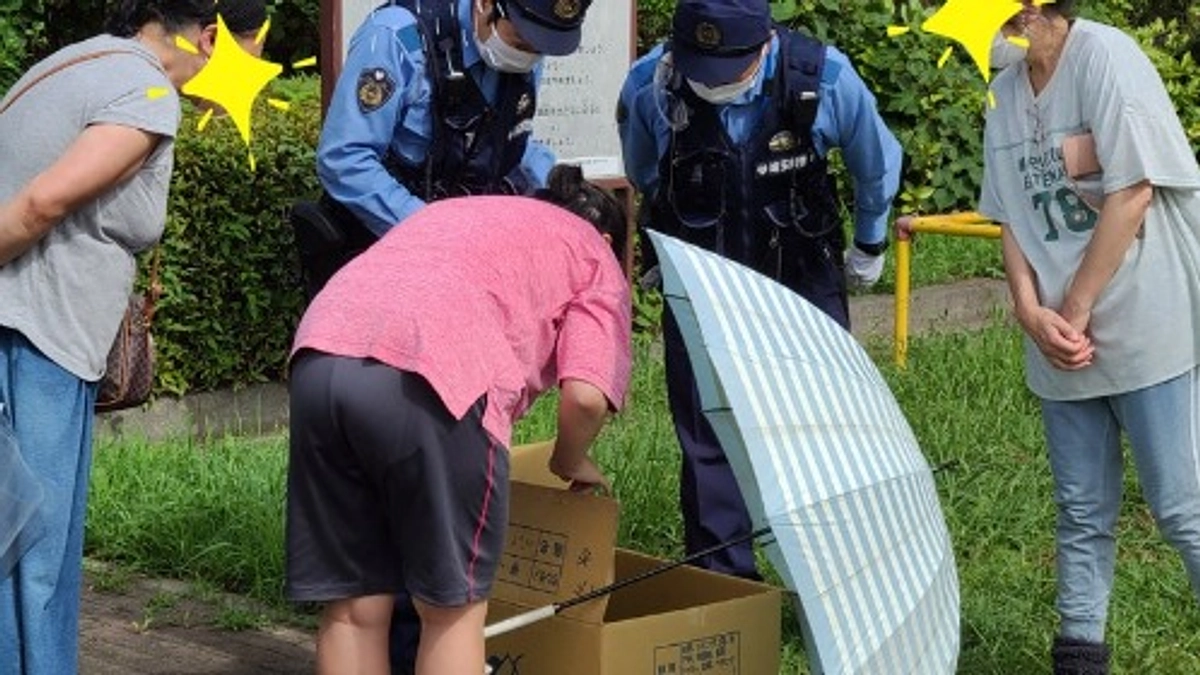 【残り35時間・400万円達成御礼🎊】酷い皮膚病の状態で遺棄されていた8頭を緊急保護しました①