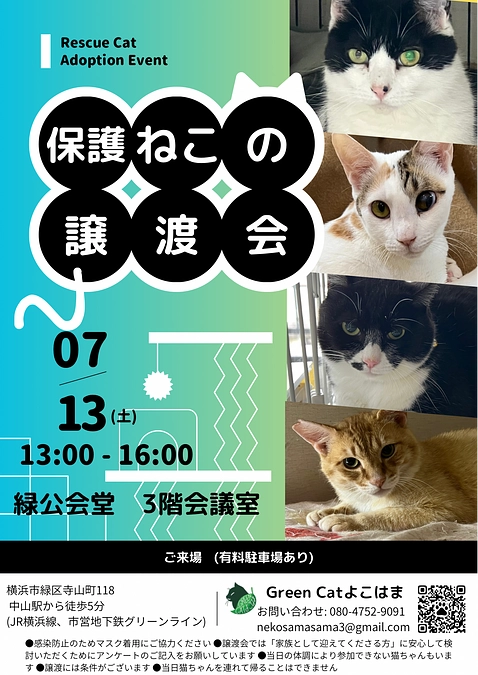 本日は譲渡会です！