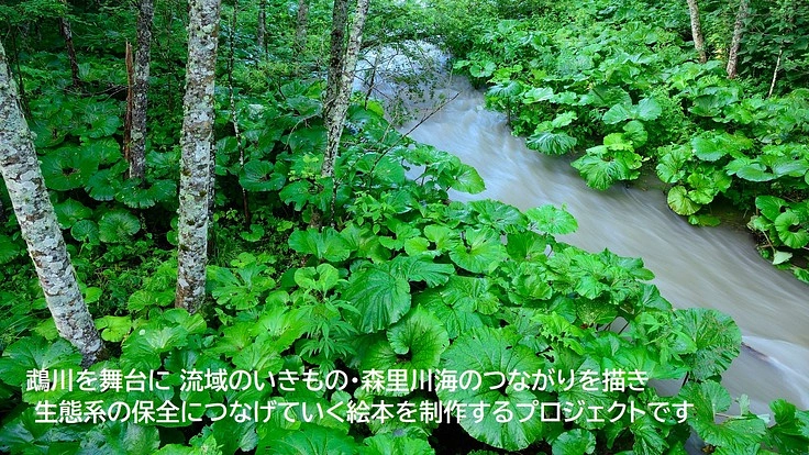 北海道占冠村の鵡川を舞台に「森里川海のつながり」を学ぶ絵本を作る！