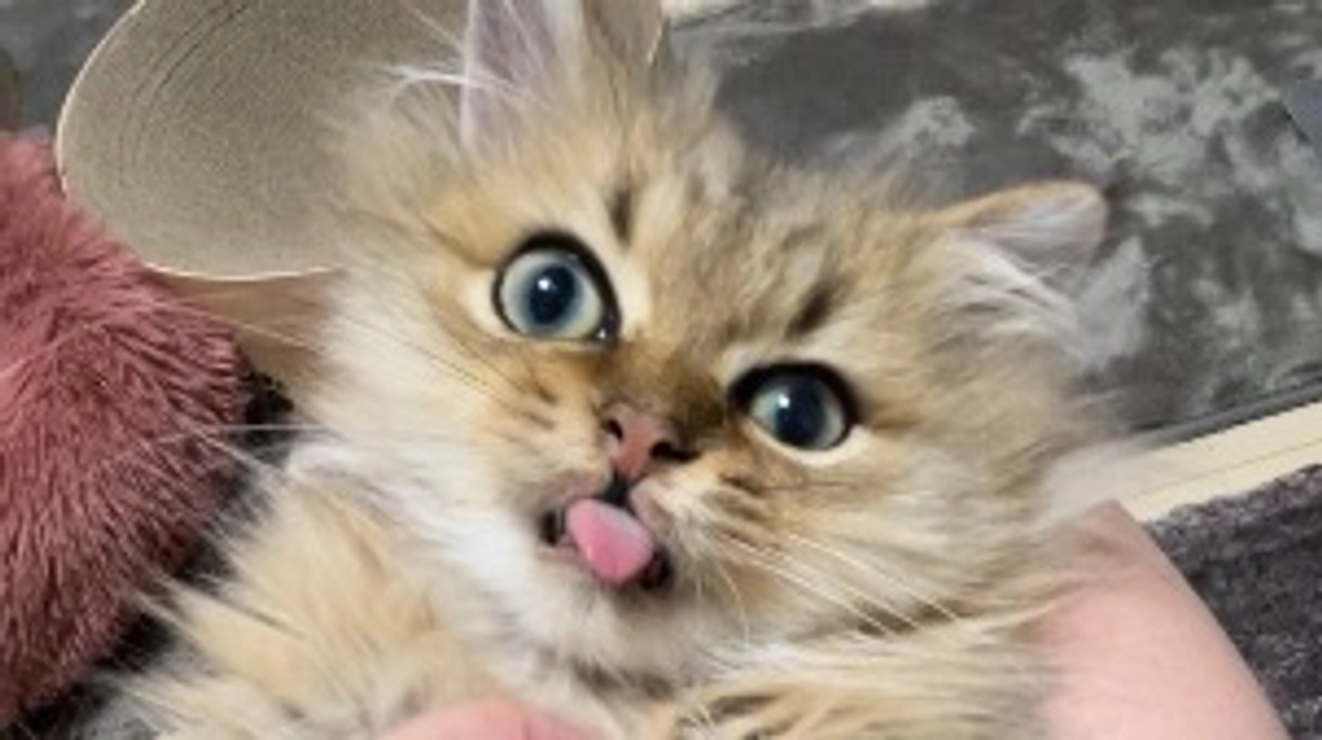 やっと平熱！な朝