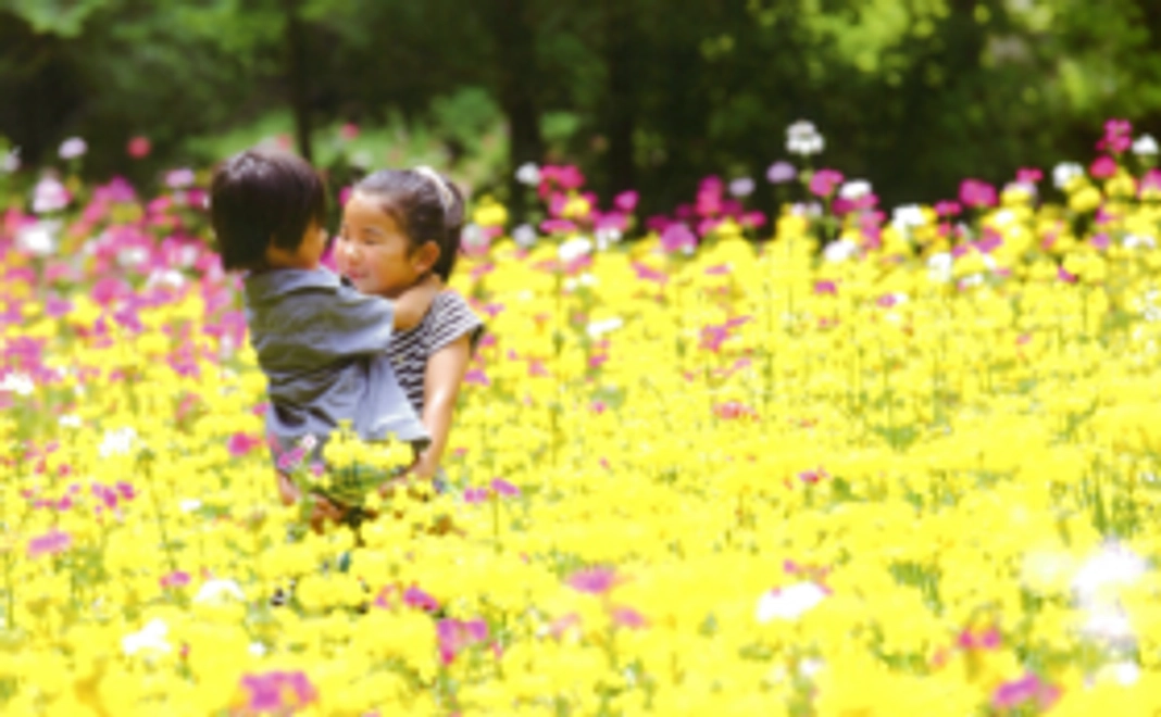 感謝の気持ちをお礼状でお伝えいたします