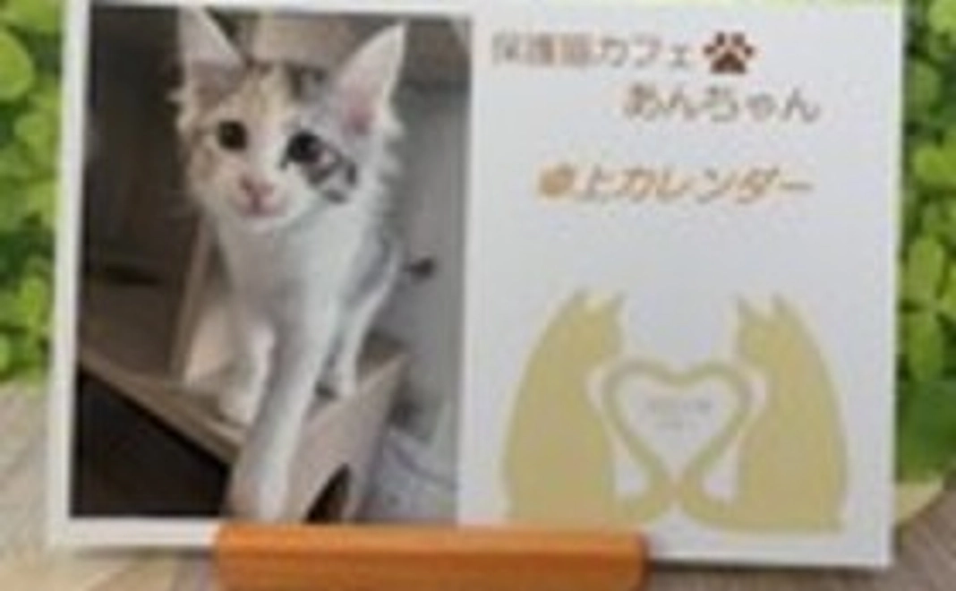 お礼のお手紙・ねこグッズ5点セット・『保護猫カフェあんちゃん』新聞