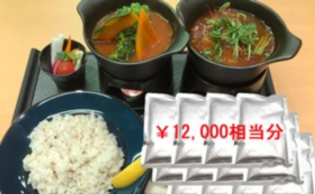 薬膳スープカレー詰め合わせ１０，０００