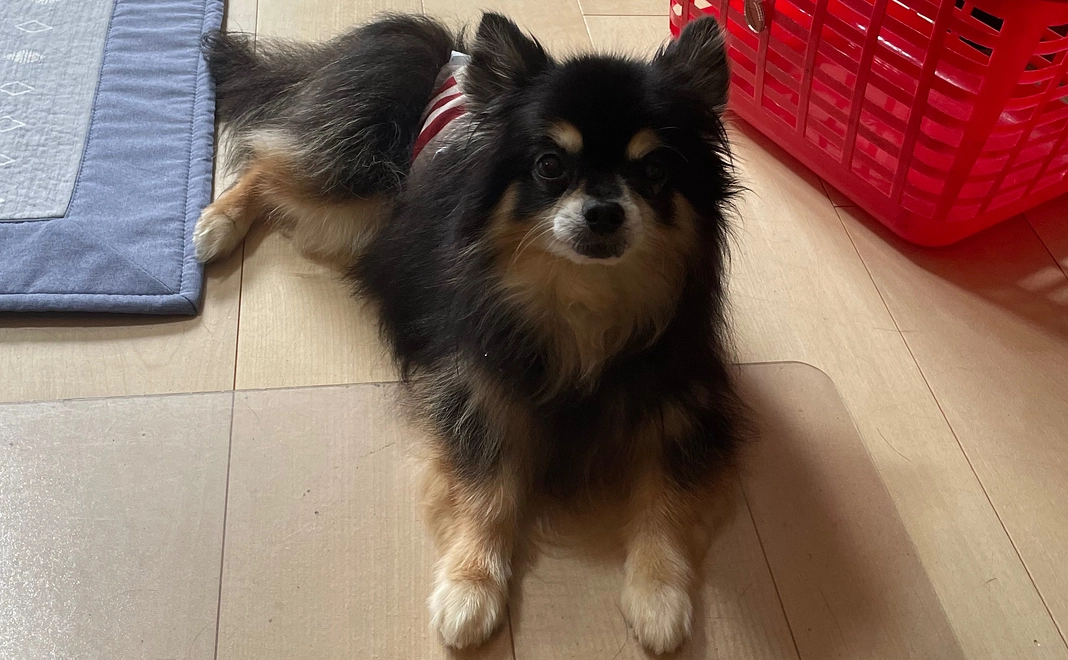 ご支援頂きありがとうございます①