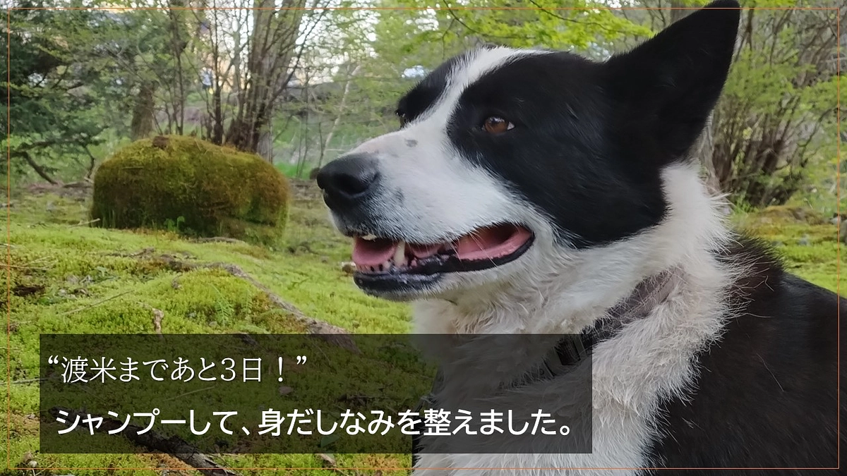 渡米まであと３日！　身だしなみを整えましょう。