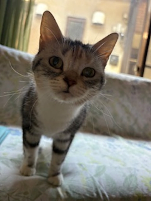 工事が本格的に始まりました