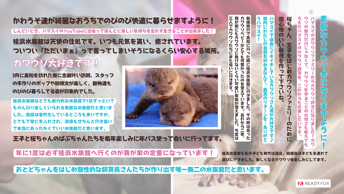 たくさんの応援コメントが集まっています！ありがとうございます！