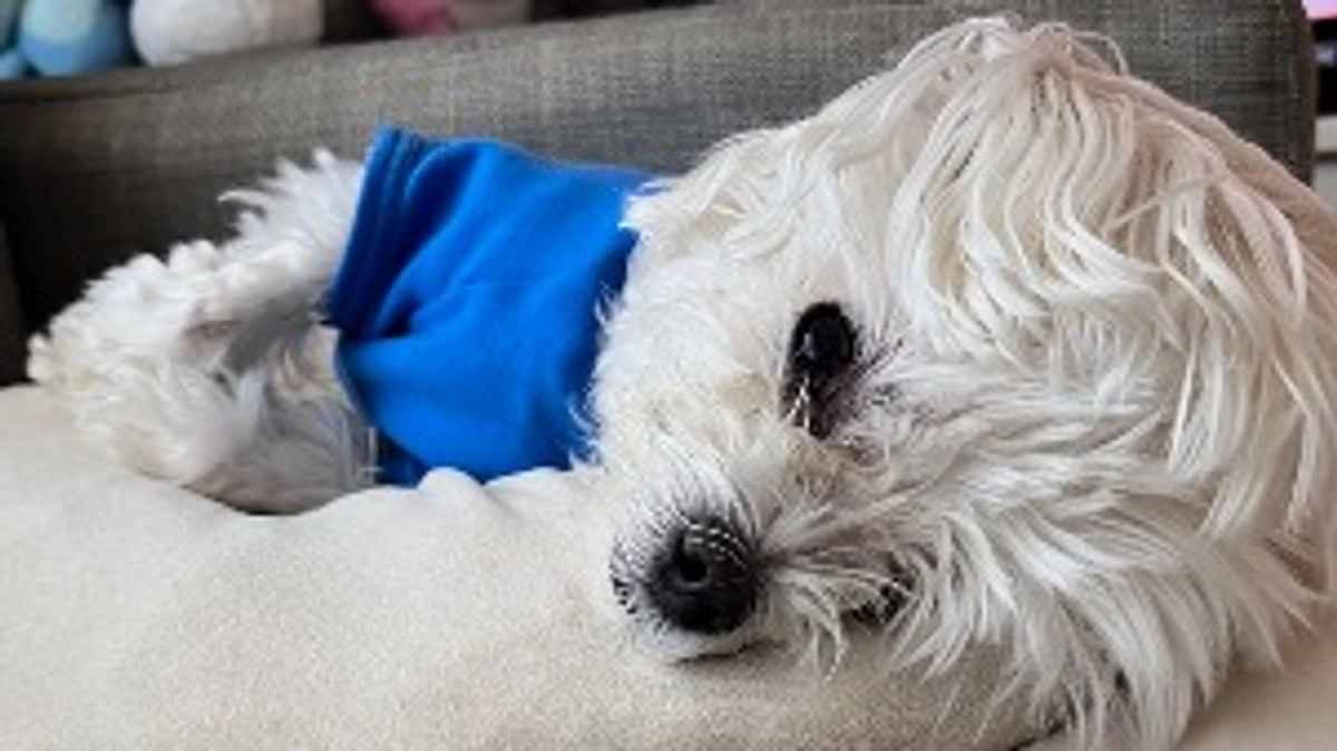 残り７日です！