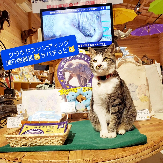 クラウドファンディングPRスマホ画面作成しました！