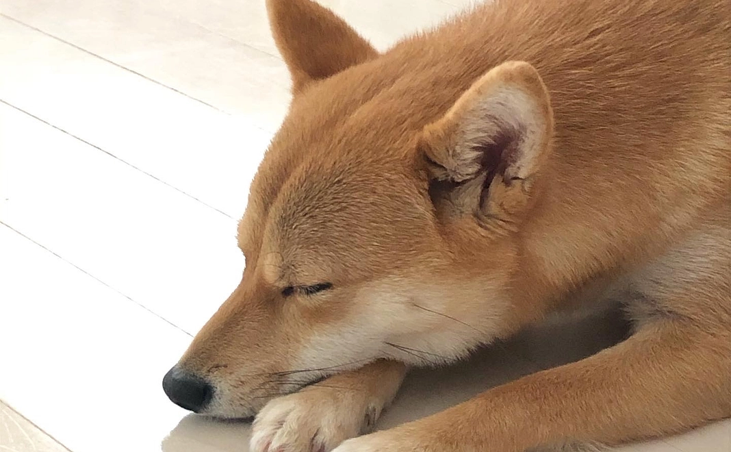 そらからご返礼1