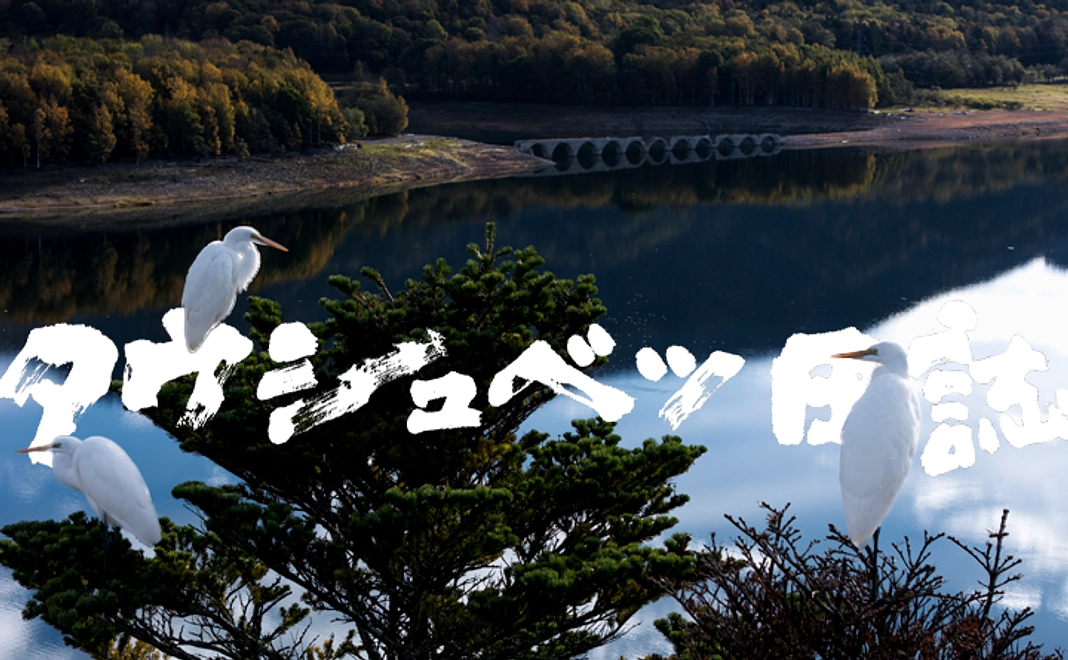 『タウシュベツ日誌 第10号』　送料無料