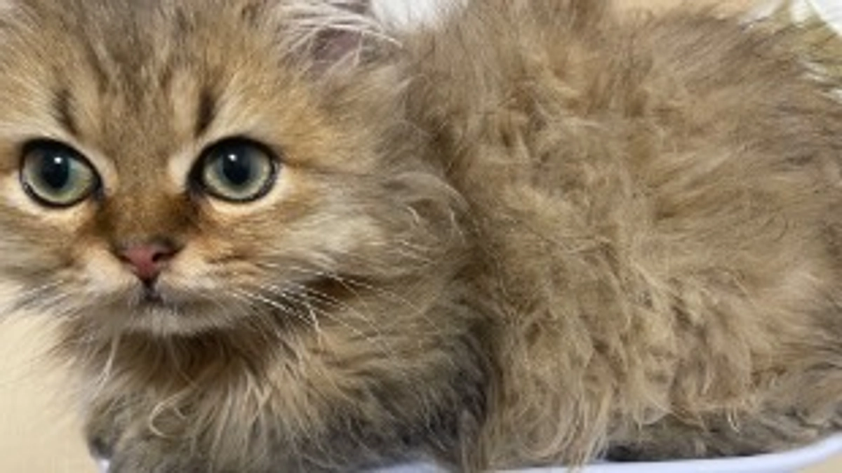 今日は体調上々！