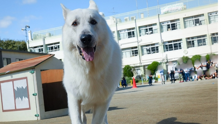 こどもたちと共に動物に優しい社会を目指して