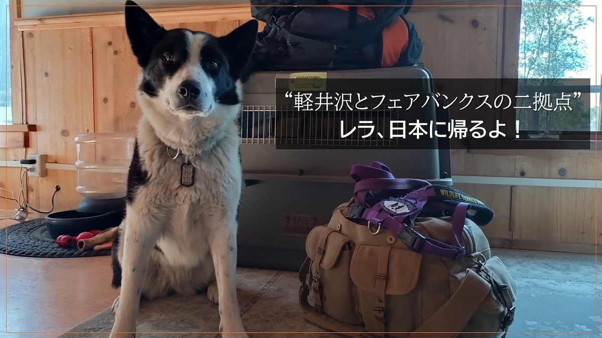 “軽井沢とフェアバンクスの二拠点” 　レラ、日本に帰るよ！