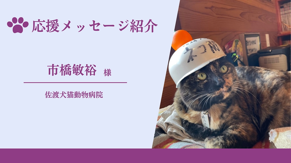 【残り16日！】応援メッセージのご紹介（佐渡犬猫動物病院　市橋敏裕様）
