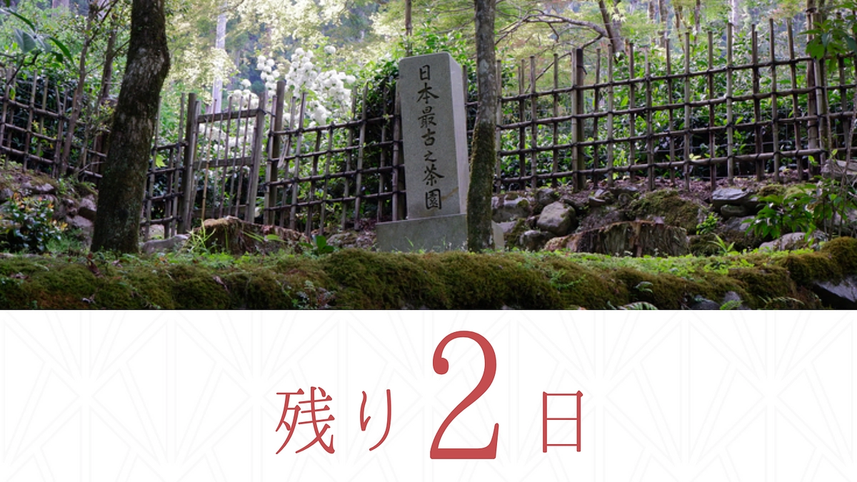 【残り2日】高山寺とお茶について