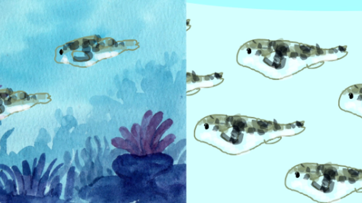 動物への次なる暴力が、進行中　阻止したい！