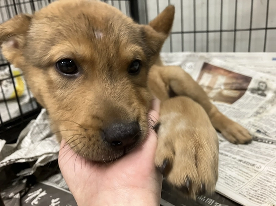 よしみ・ルミ子、お誕生日おめでとう！～ライフボートでの誕生日の決め方紹介～　