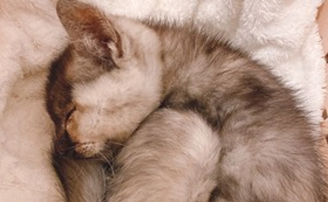 感謝のメール&お写真　1枚