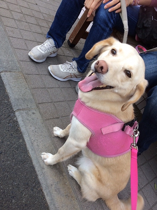 応援メッセージが届きました！