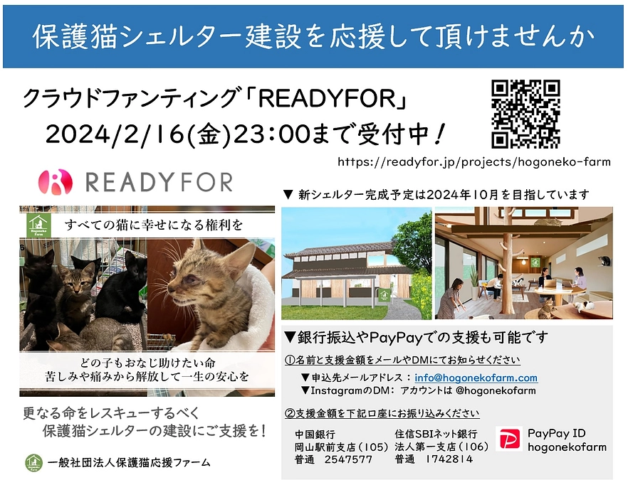 【活動報告】保護猫シェルター建設に伴う応援のお願い（カウントダウン30日！）