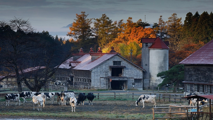 農業近代化の歴史を伝える重要文化財|小岩井農場の建築遺産を未来へ 4枚目