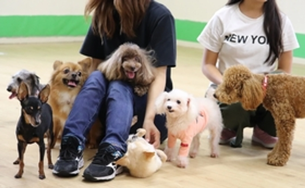 お気持ちで応援｜3千円