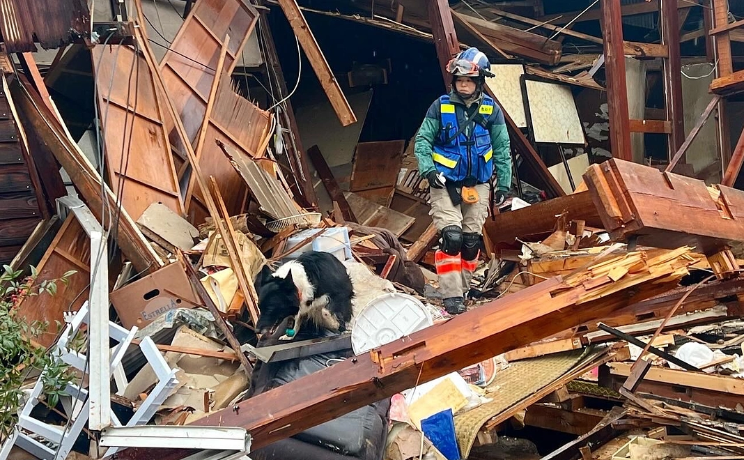 3,000円のご支援