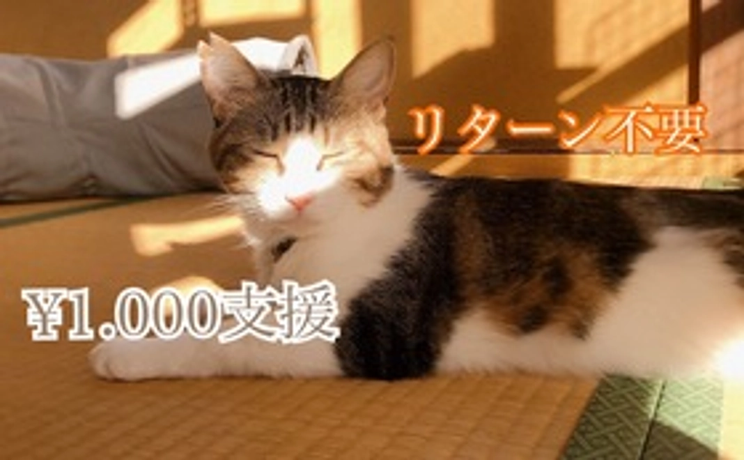 全額応援　1000円コース(リターン不要)