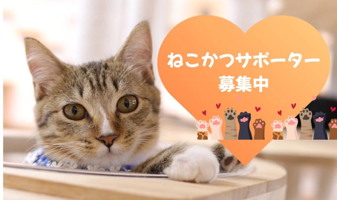 マンスリーサポーターを募集させてください。