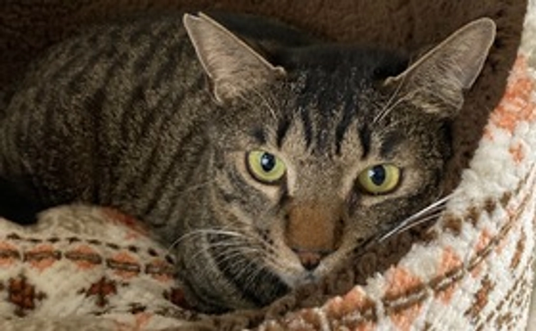 【定期サポート】30,000円コース